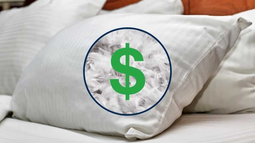 Down pillow cost